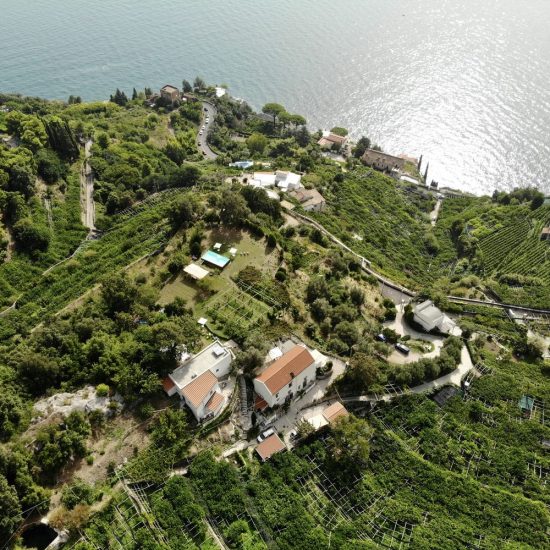 created by dji camera