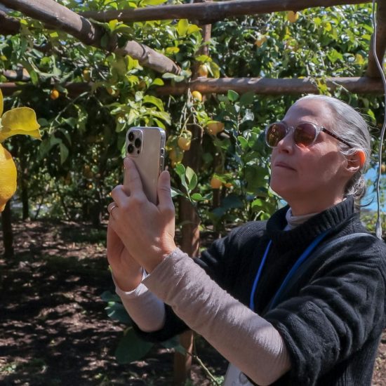 10SOPRA IL LIMONETO (158)_