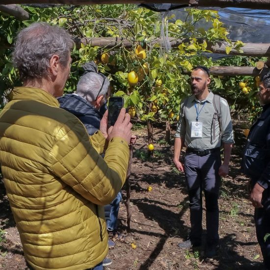 14SOPRA IL LIMONETO (154)_