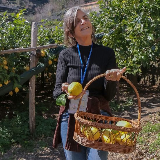 15SOPRA IL LIMONETO (168)_