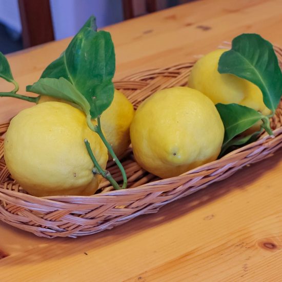 16SOPRA IL LIMONETO (175)_