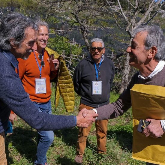 2SOPRA IL LIMONETO (131)_