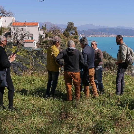 3SOPRA IL LIMONETO (142)_