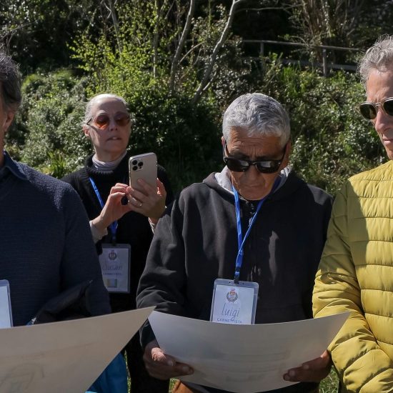 5SOPRA IL LIMONETO (139)_