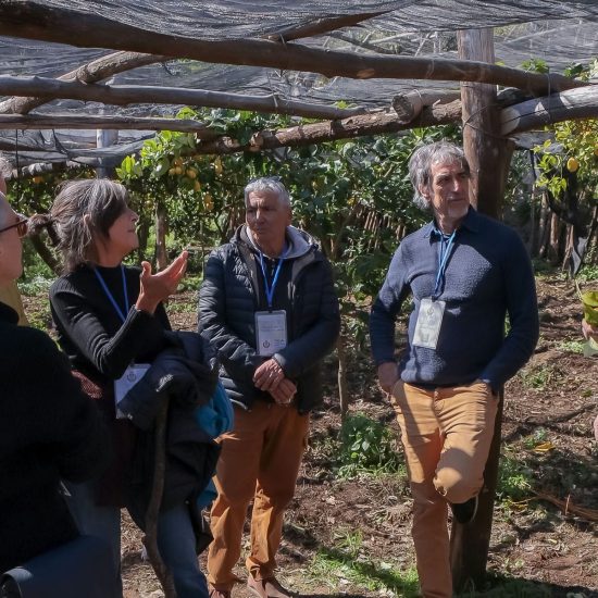 7SOPRA IL LIMONETO (164)_