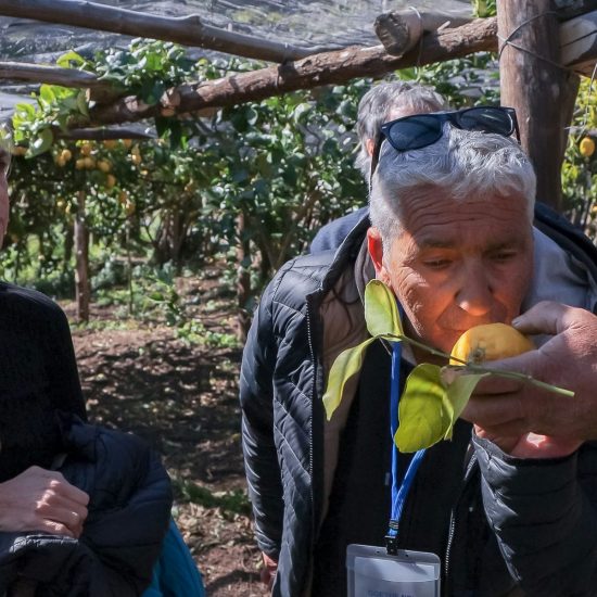 9SOPRA IL LIMONETO (161)_