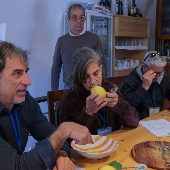 SOPRA IL LIMONETO (190)_