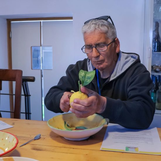 SOPRA IL LIMONETO (192)_