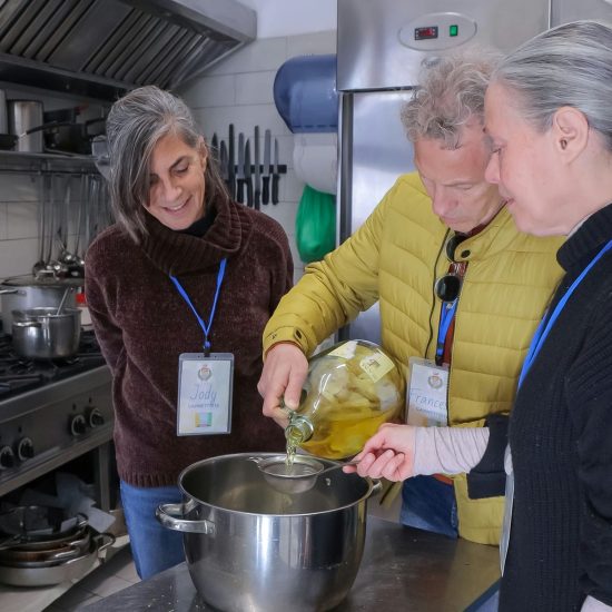 SOPRA IL LIMONETO (203)_