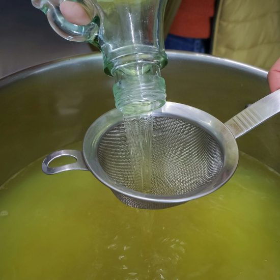 SOPRA IL LIMONETO (204)_