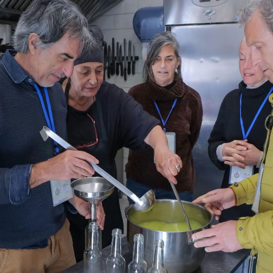 SOPRA IL LIMONETO (206)_