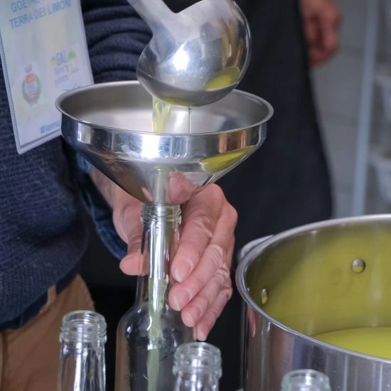 SOPRA IL LIMONETO (207)_