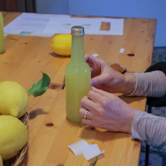 SOPRA IL LIMONETO (214)_