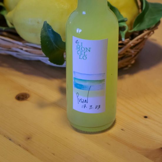 SOPRA IL LIMONETO (216)_