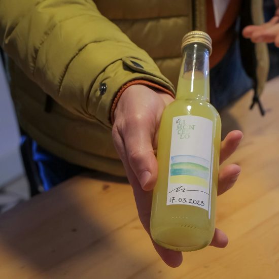 SOPRA IL LIMONETO (218)_